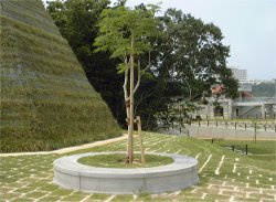 公園施設関連資材 企画・設計・製造・販売