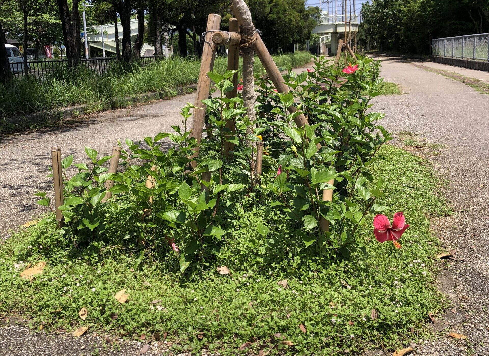 「NONOCA」導入実績